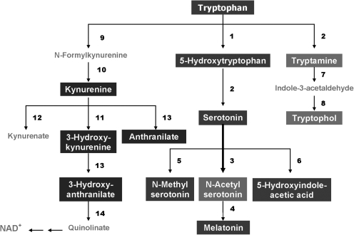 FIG. 11.