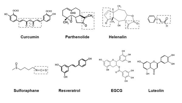 Fig.3