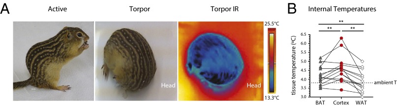 Fig. 5.