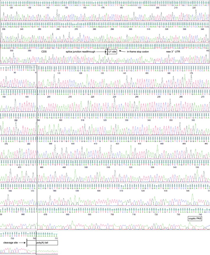 Figure 1—figure supplement 2.