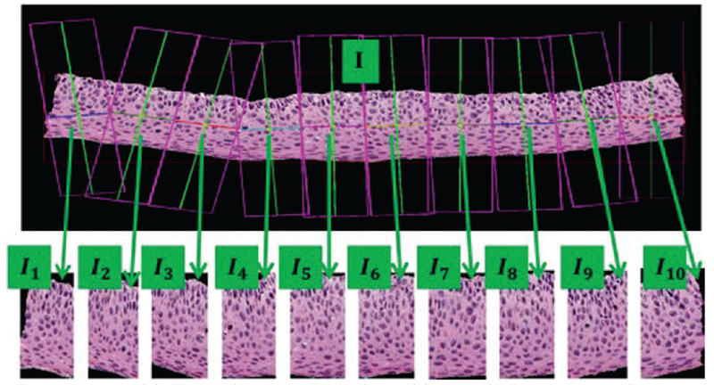 Figure 5: