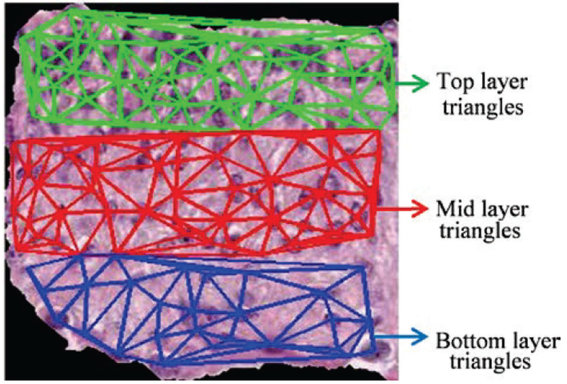 Fig. 17: