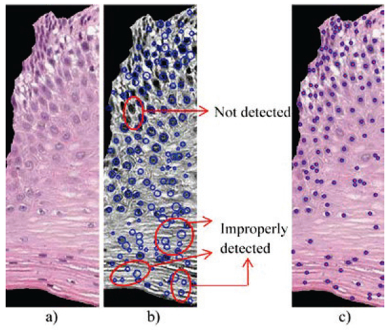 Fig. 15: