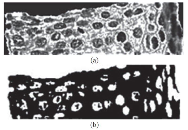 Fig. 8: