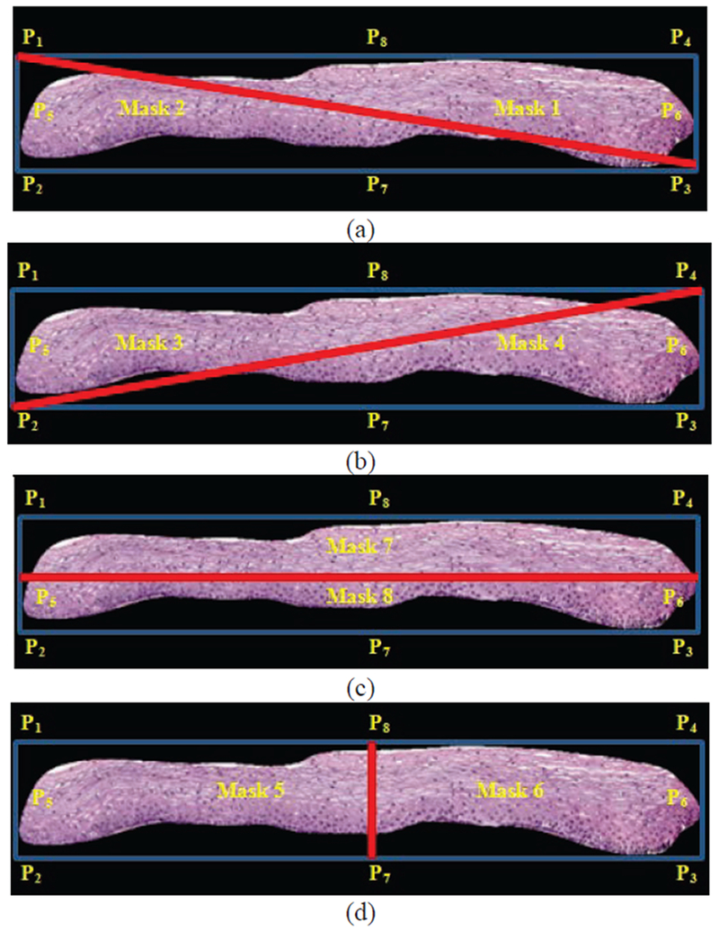 Fig. 4.