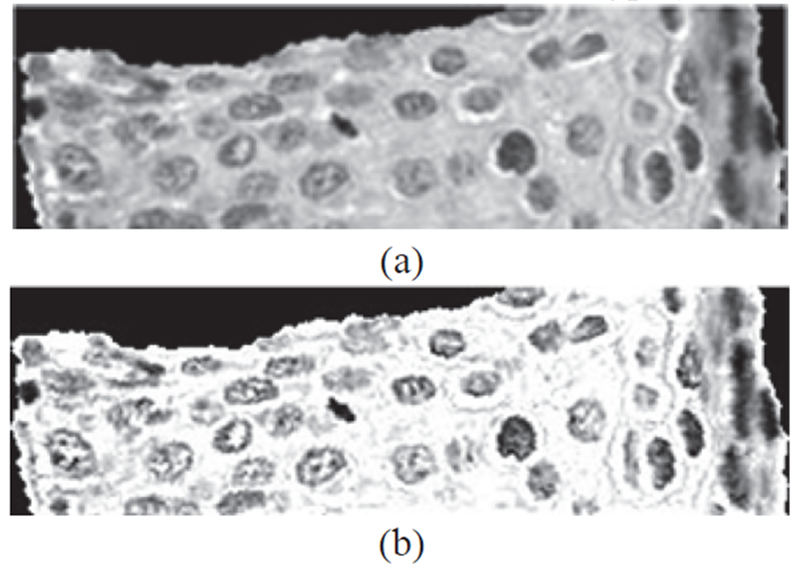 Fig. 7: