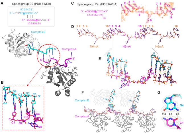 Figure 2.