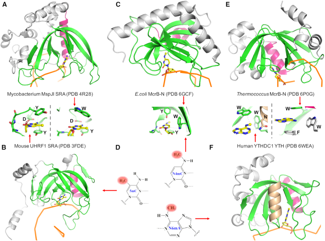 Figure 6.