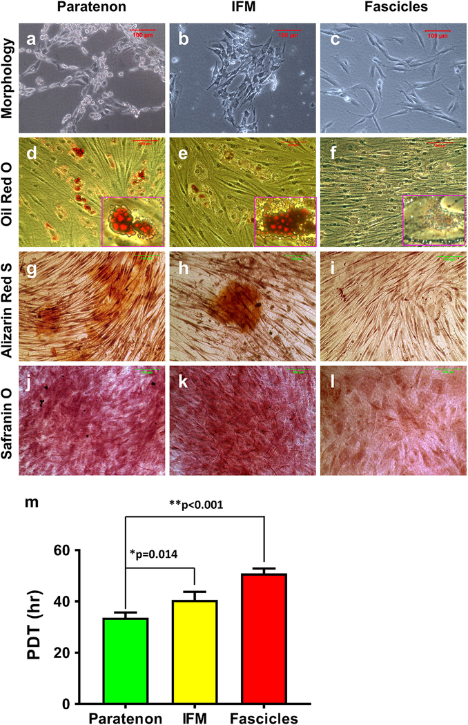 Fig. 11