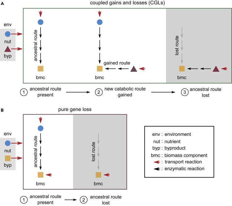 Figure 3