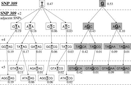 Fig. 4.