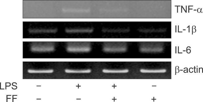 Fig. 18