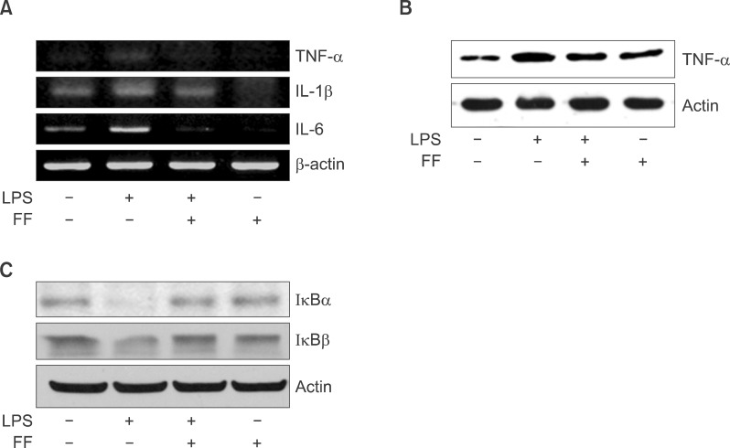 Fig. 15