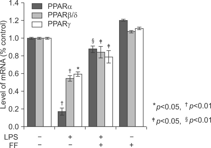 Fig. 19