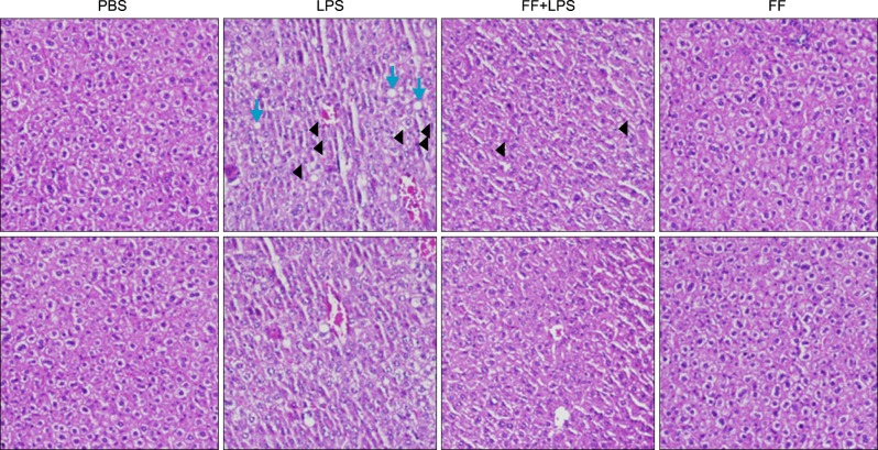 Fig. 14