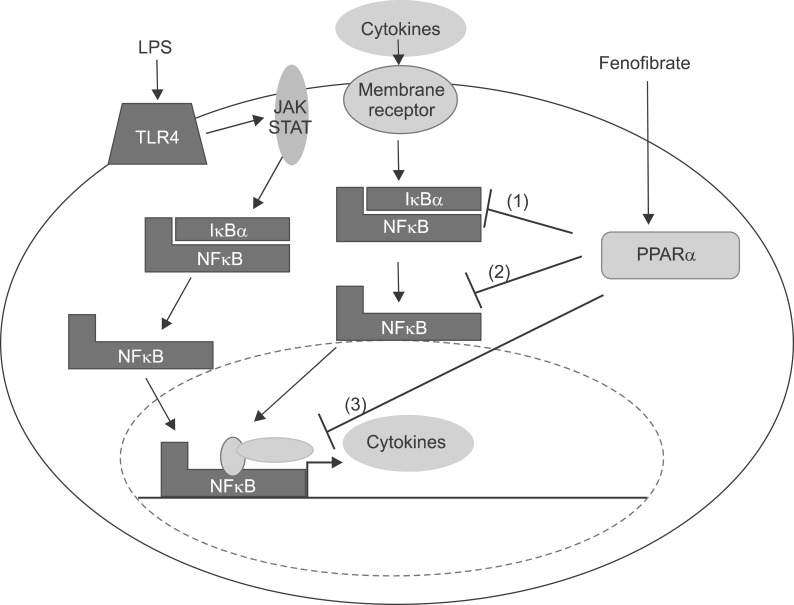 Fig. 21