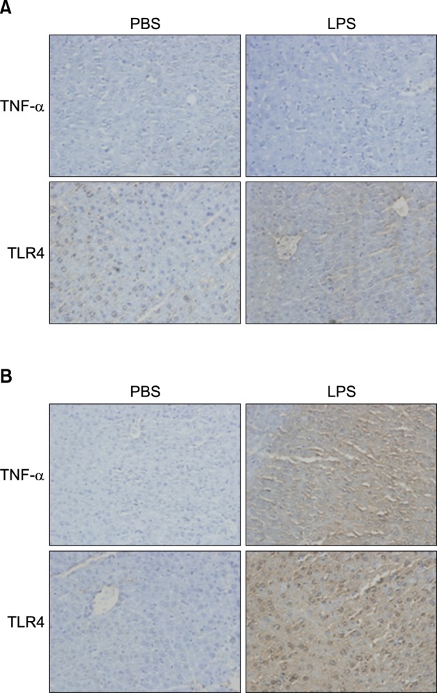 Fig. 11