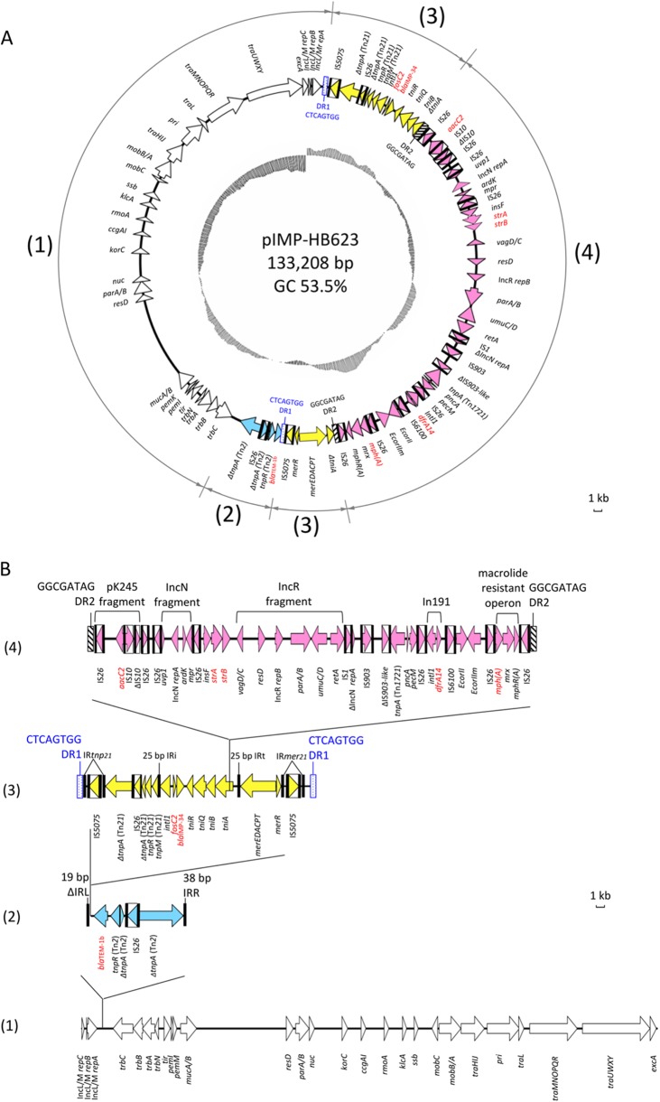 FIG 1