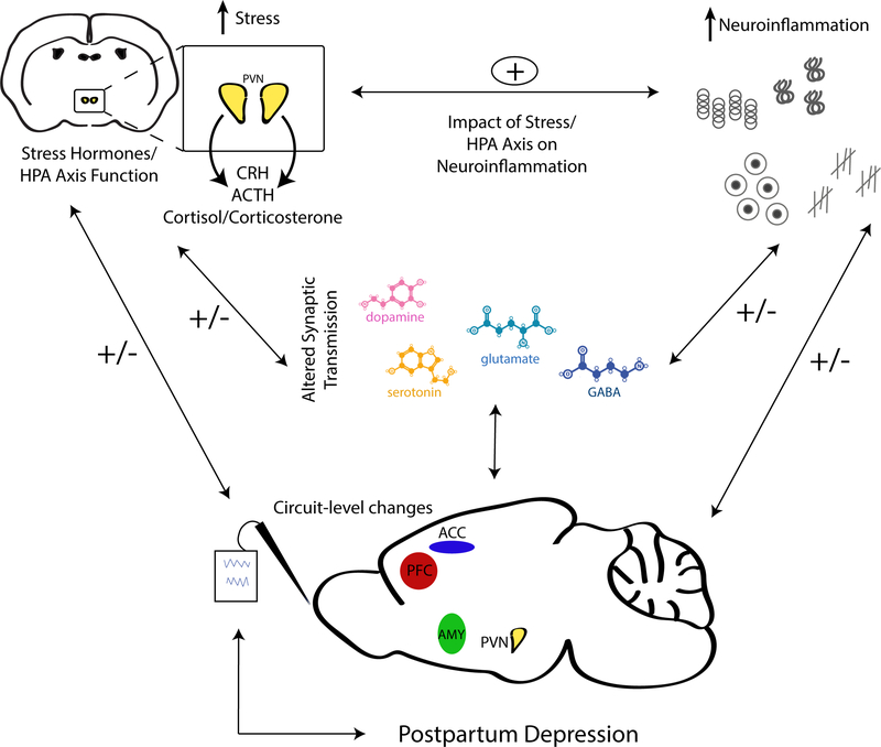 Figure 4: