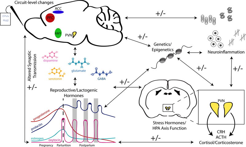 Figure 5: