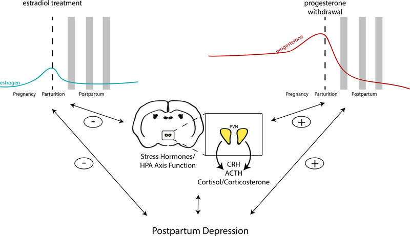 Figure 2: