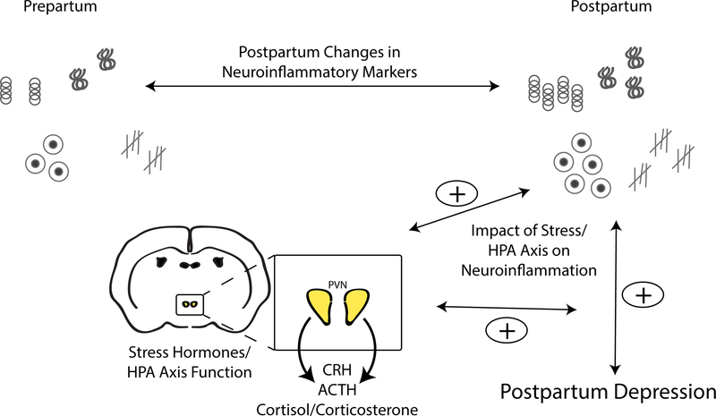 Figure 3: