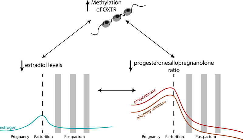 Figure 1: