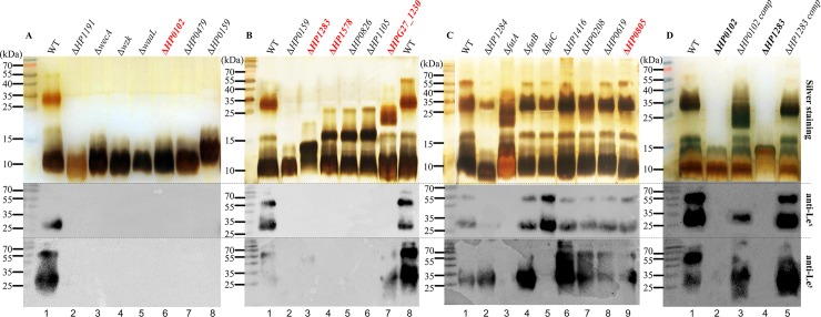 Fig 2