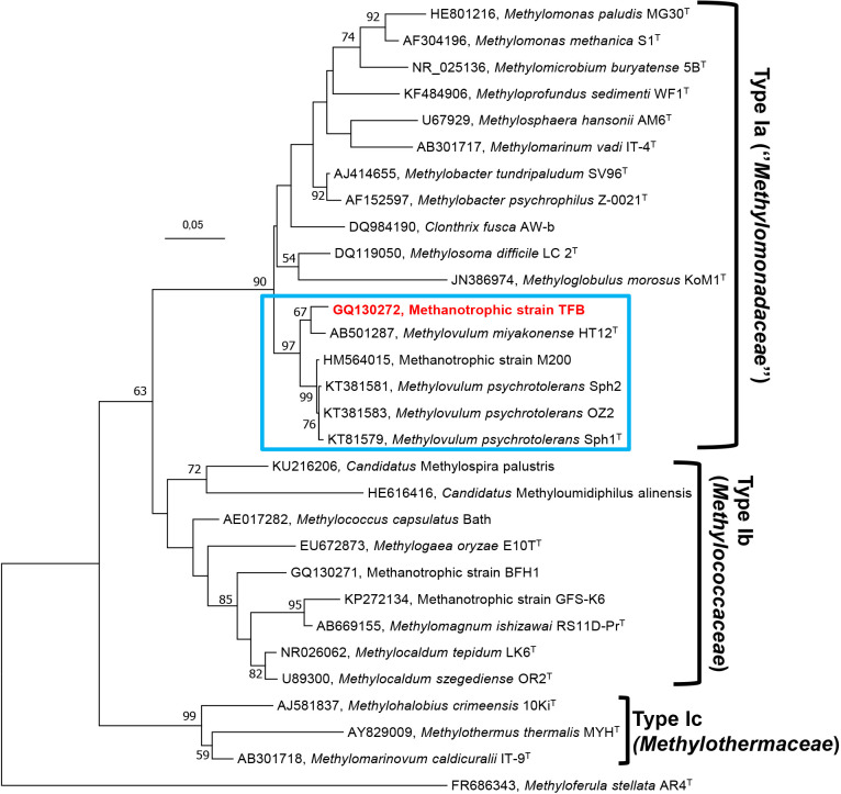 Fig. 3.