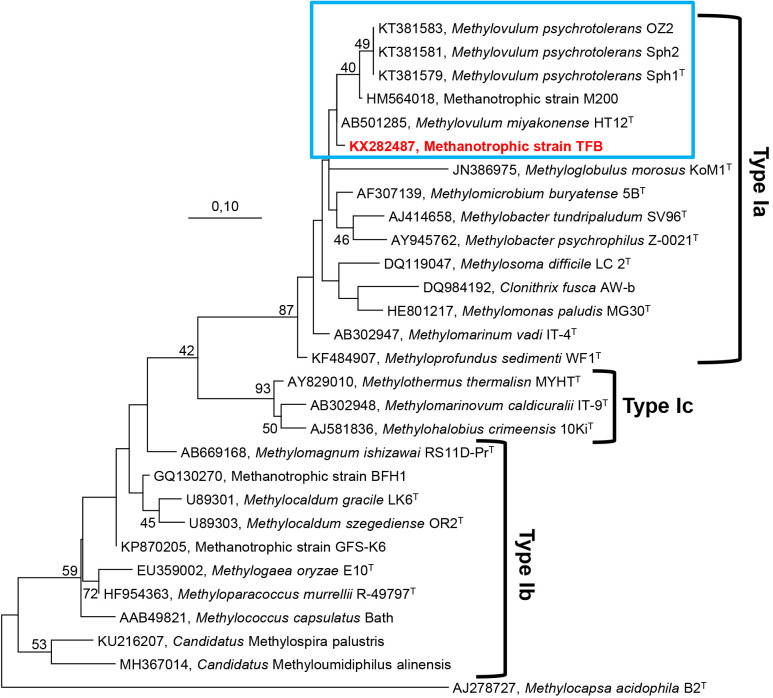 Fig. 4.