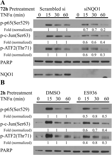 Fig. 9.