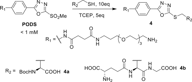 Scheme 3.