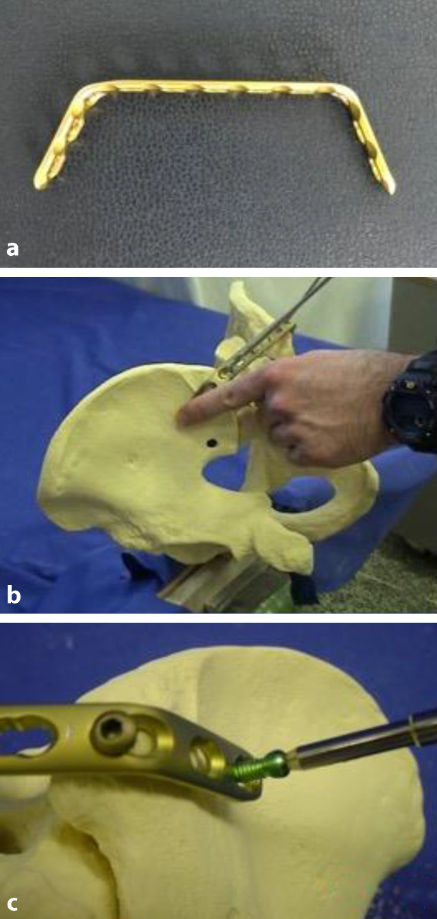 graphic file with name 113_2021_1039_Fig2_HTML.jpg