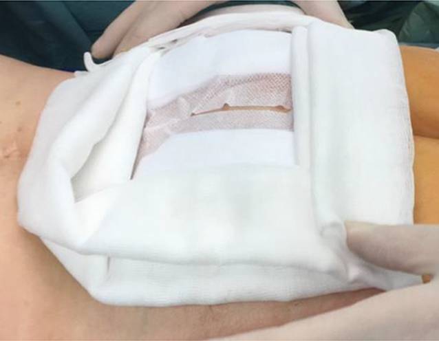 graphic file with name 113_2021_1039_Fig3_HTML.jpg