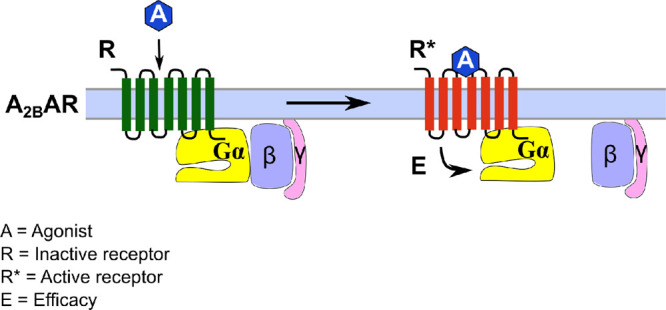 Figure 8