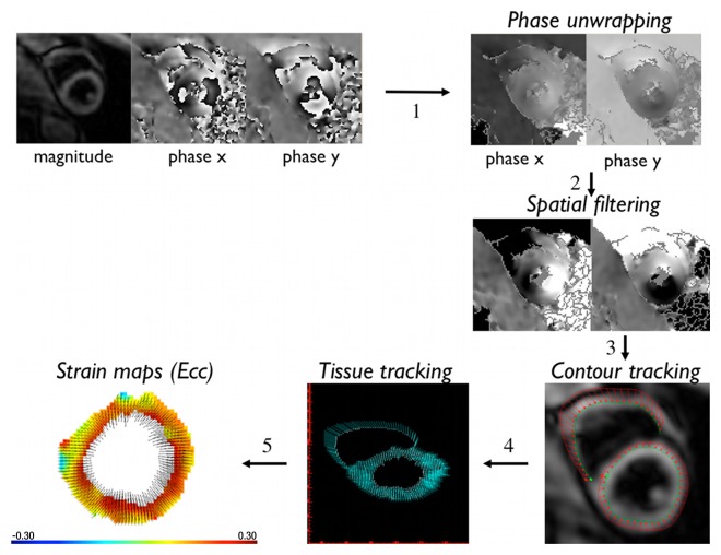 Figure 1: