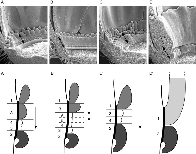 Fig. 11.