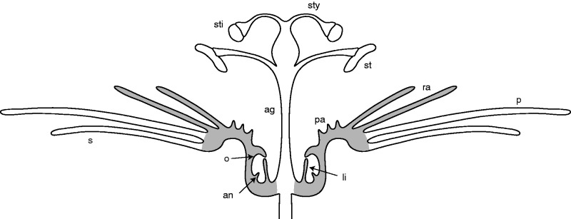 Fig. 1.