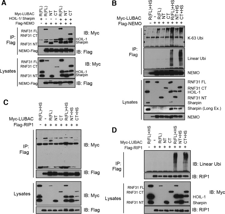 FIG 6