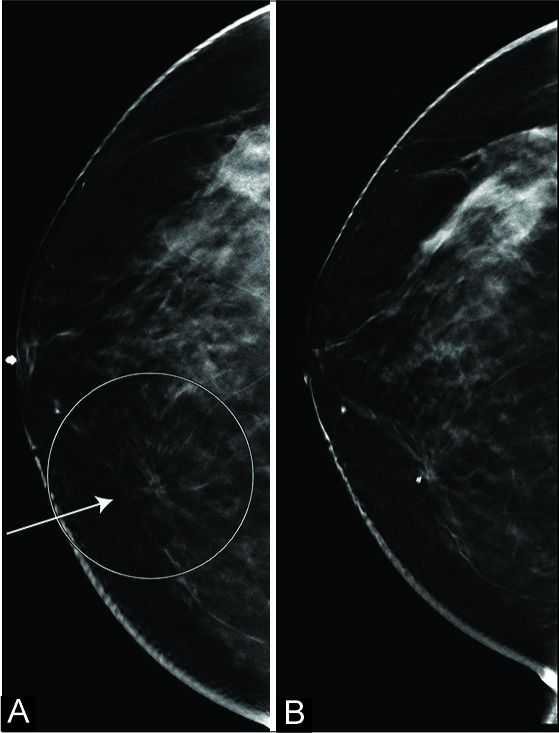 Figure 2: