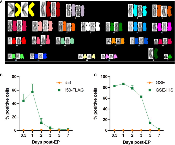 Figure 6