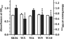 FIG 8