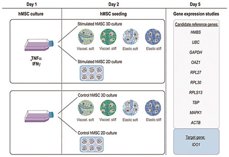 graphic file with name nihms-1644296-f0006.jpg