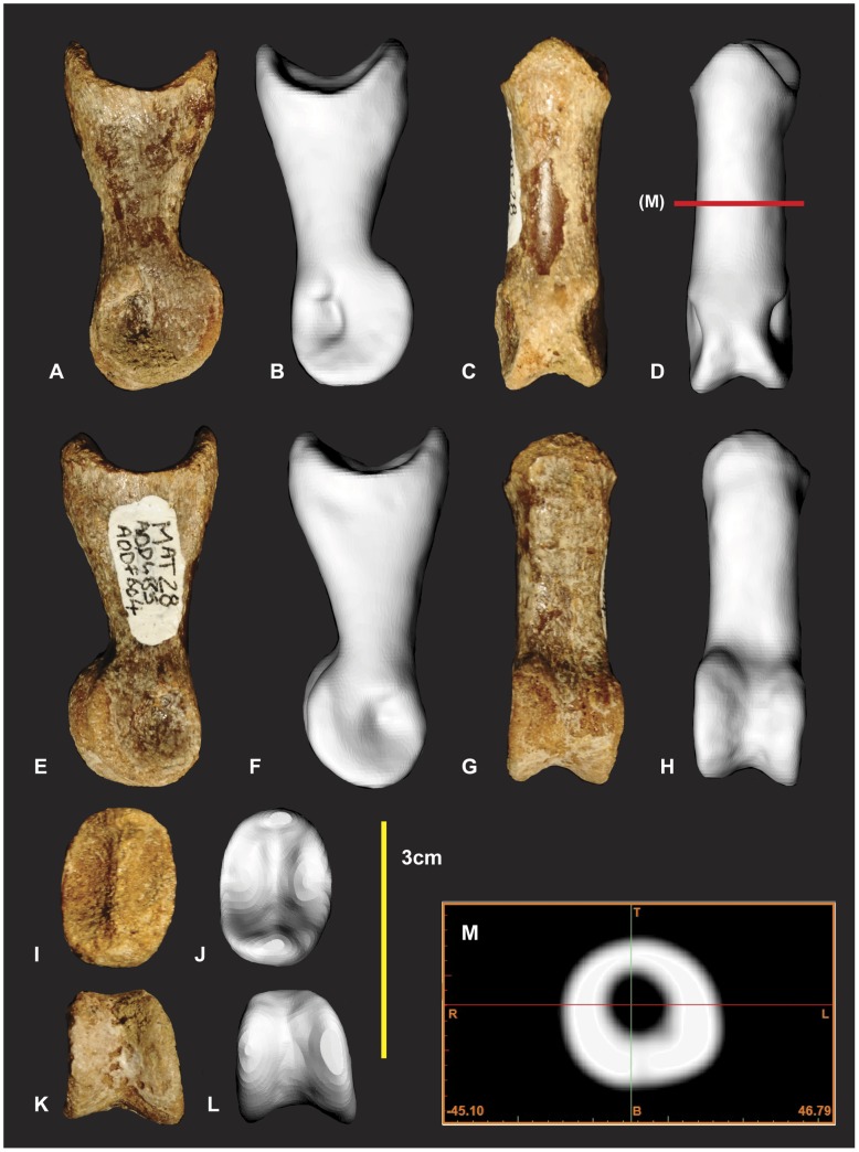 Figure 22