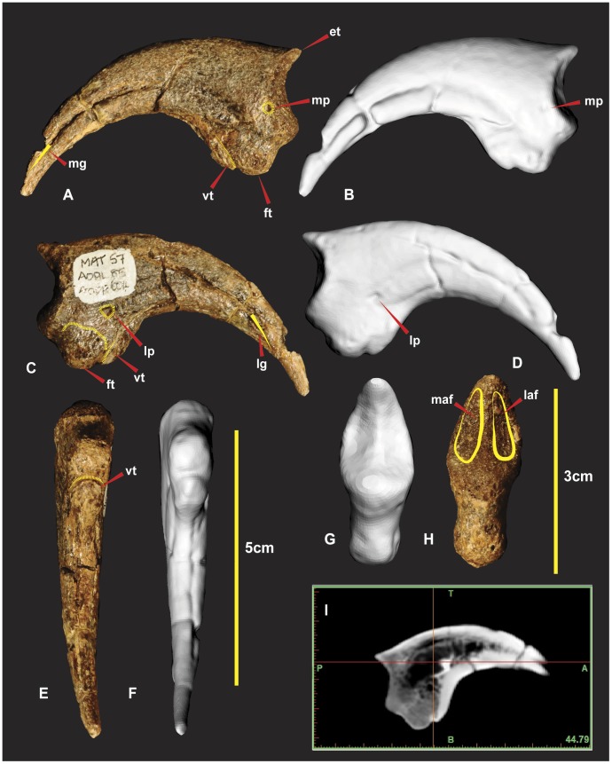 Figure 24