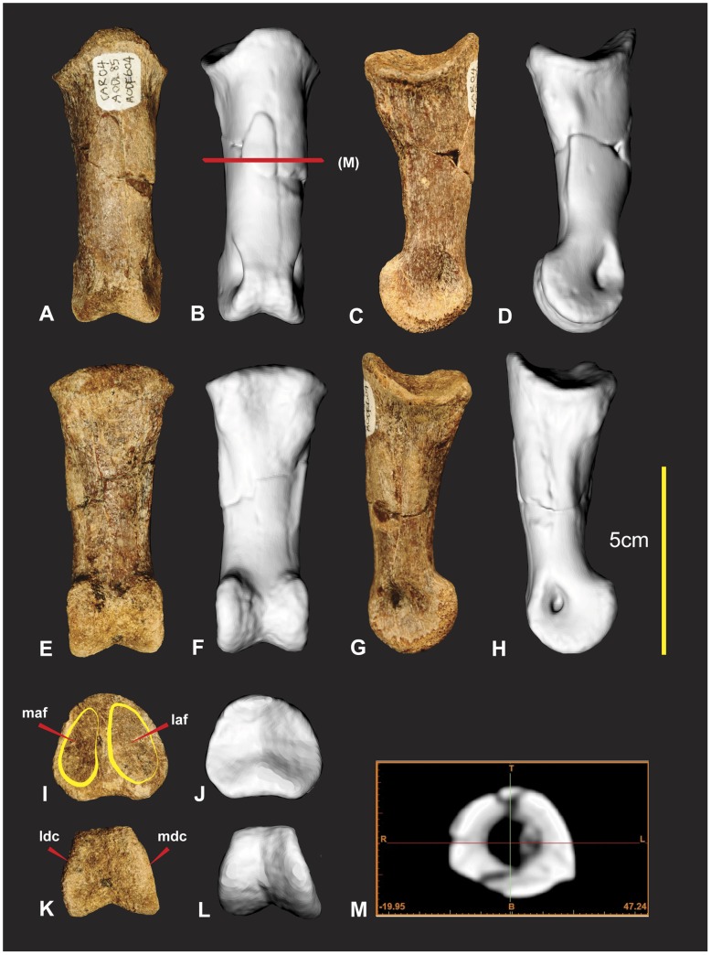 Figure 21