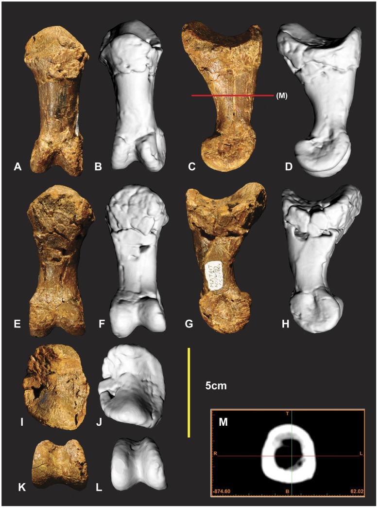 Figure 18