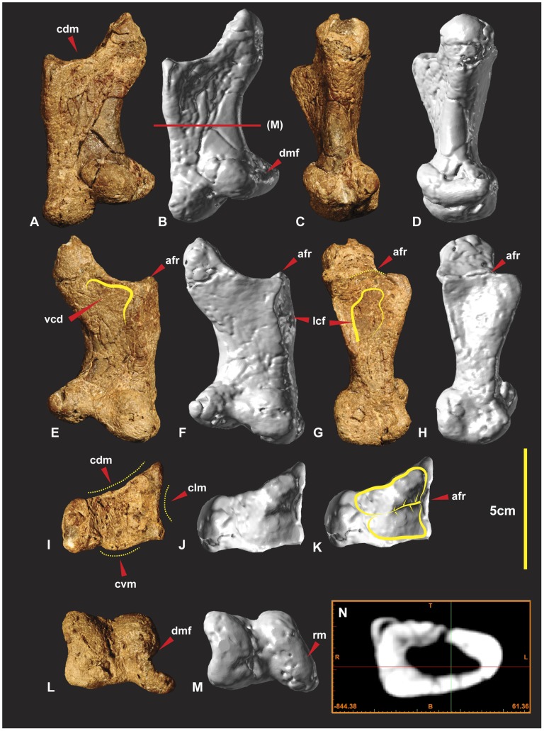 Figure 12