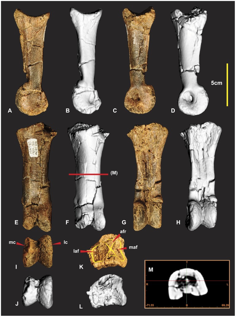 Figure 14