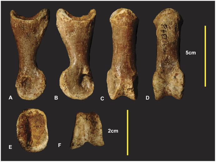 Figure 23